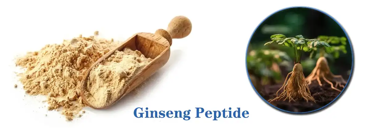 Ginseng Peptide Sale.jpg